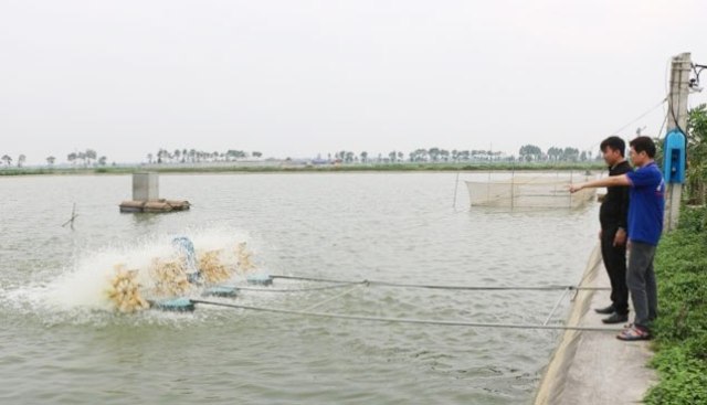 Nuôi trồng thủy sản tại Hà Nội: Thiếu liên kết, khó phát triển - Ảnh 2