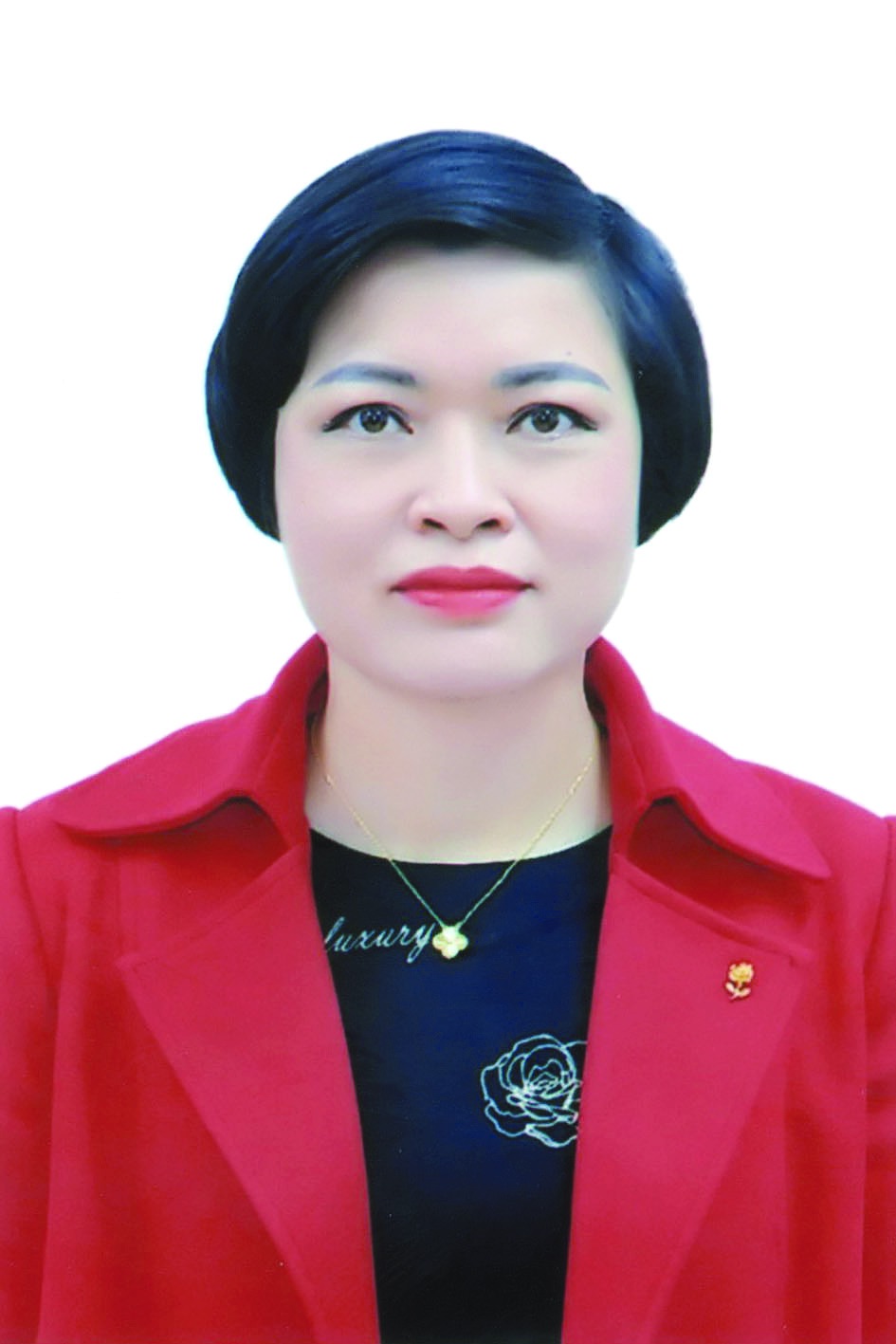 Chương trình hành động của bà Trần Thị Phương, ứng cử viên đại biểu HĐND TP Hà Nội nhiệm kỳ 2021 - 2026 - Ảnh 1