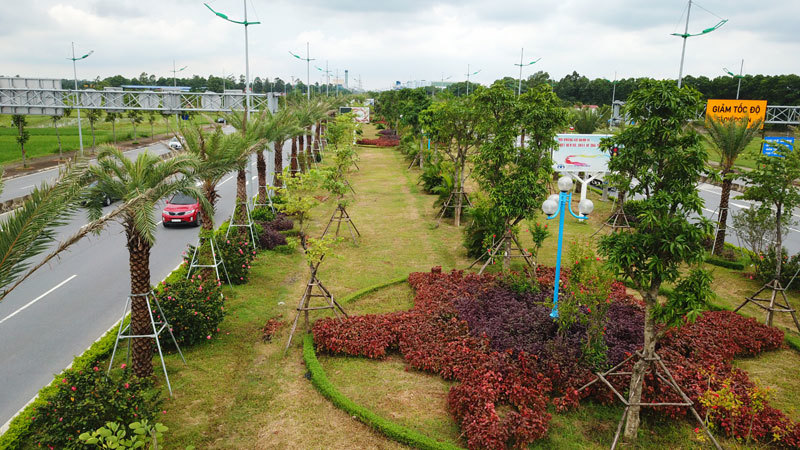 Hà Nội: Ngắm hàng cây xanh mát trên đường Võ Nguyên Giáp - Ảnh 7