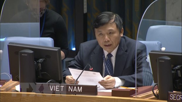 Việt Nam chủ trì cuộc họp Nhóm công tác Hội đồng Bảo an về các tòa án quốc tế - Ảnh 1