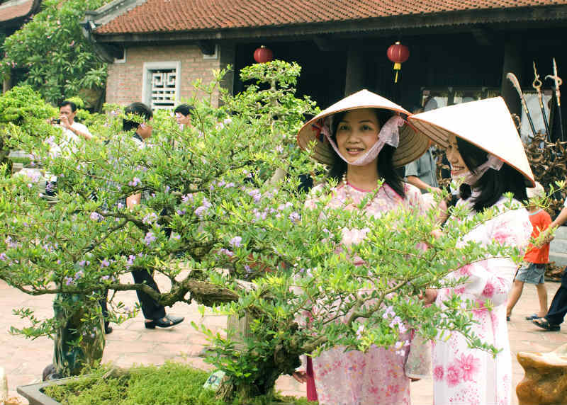 Nón làng Chuông, Hà Nội: Nét đẹp văn hóa Việt - Ảnh 8