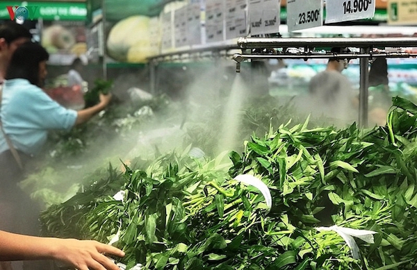 TP Hồ Chí Minh: Giá rau xanh “hạ nhiệt”, trứng vẫn khan hiếm - Ảnh 1