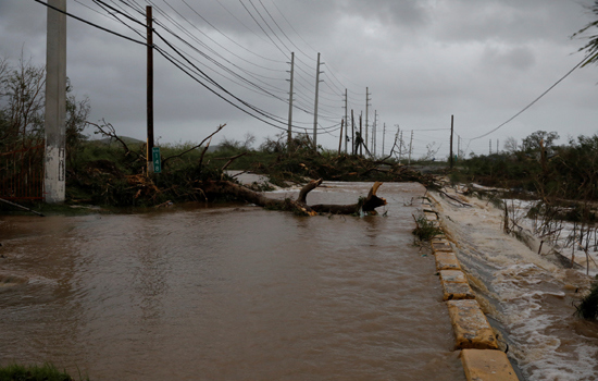 Siêu bão Maria đánh sập mạng lưới điện vùng lãnh thổ Puerto Rico của Mỹ - Ảnh 2