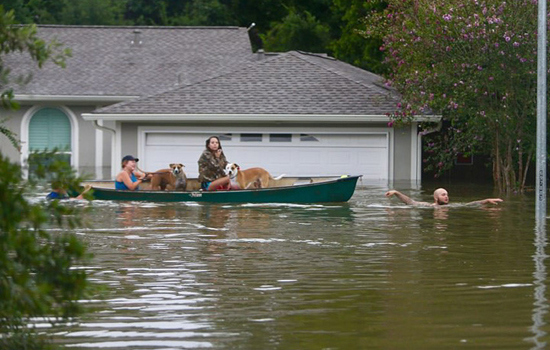 Mỹ: "Siêu bão thập kỷ" Harvey nhấn chìm TP Houston - Ảnh 5