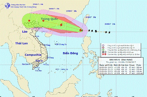 Bộ Thông tin và Truyền thông ra công điện khẩn ứng phó bão Hato - Ảnh 1