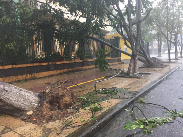Toàn cảnh bão số 10 tàn phá miền Trung, Hà Tĩnh - Quảng Bình thiệt hại nặng nề - Ảnh 43