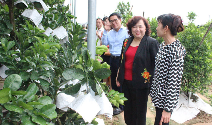 Huyện Mê Linh phấn đấu đạt chuẩn huyện nông thôn mới vào năm 2018 - Ảnh 2