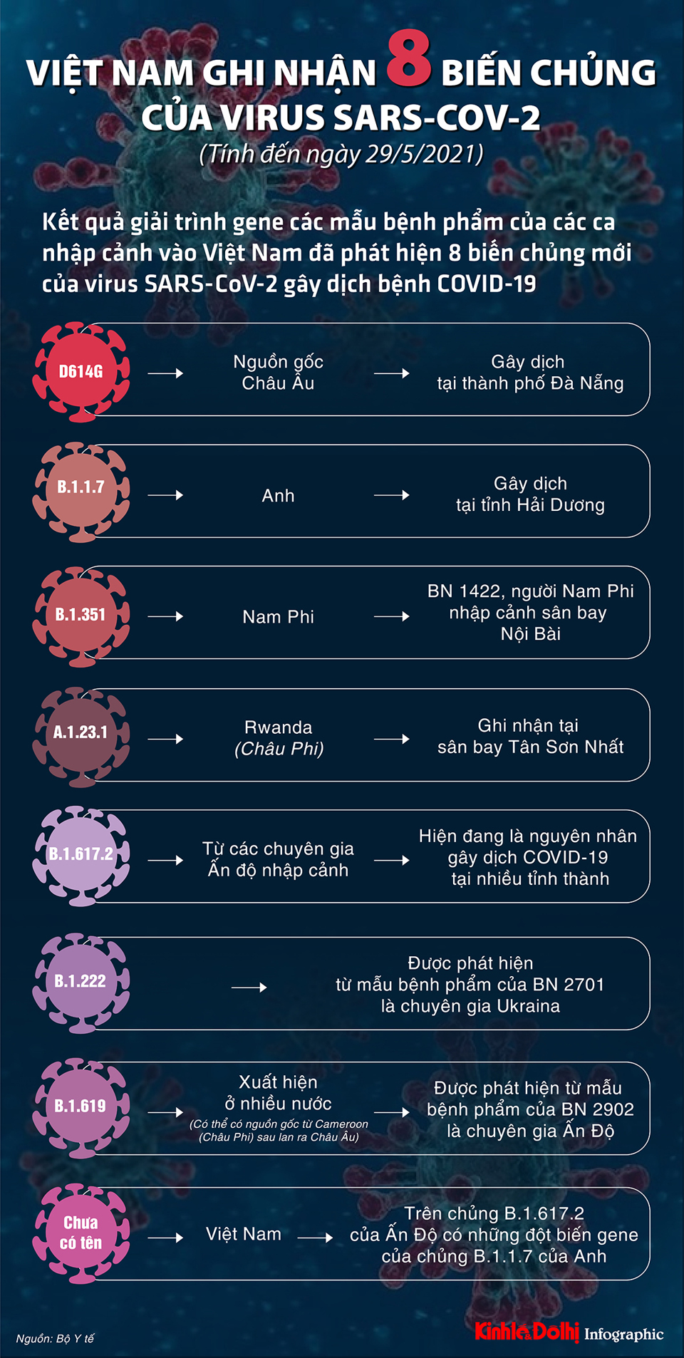 [Infographic] Việt Nam ghi nhận 8 biến chủng của virus SARS-CoV-2 - Ảnh 1