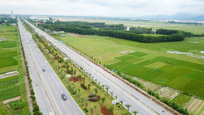 Hà Nội: Ngắm hàng cây xanh mát trên đường Võ Nguyên Giáp - Ảnh 8