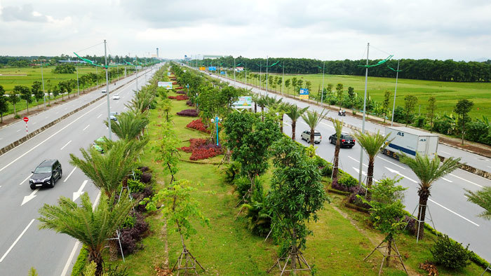 Hà Nội: Ngắm hàng cây xanh mát trên đường Võ Nguyên Giáp - Ảnh 10