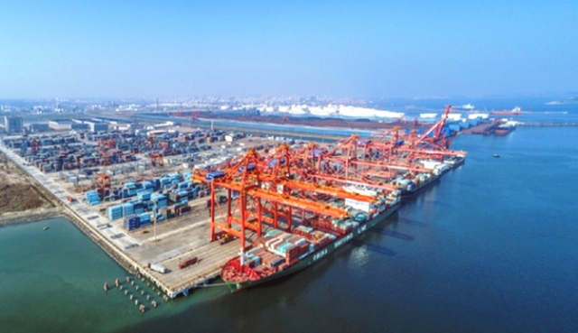 Trung Quốc ngừng nhập khẩu thực phẩm đông lạnh từ Việt Nam và 10 quốc gia tại cảng Trạm Giang - Ảnh 1