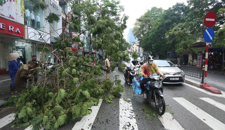 Hà Nội: 6 cây xanh đổ, nghiêng trên các tuyến phố sau trận mưa lớn - Ảnh 1