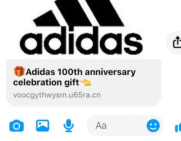 Truy cập link giả mạo Adidas tặng quà, mất tài khoản Facebook - Ảnh 1