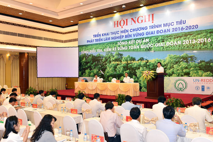 Phó Thủ tướng Trịnh Đình Dũng: Vẫn còn những điểm nóng về phá rừng - Ảnh 2