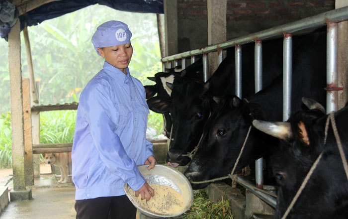 153 triệu USD giúp Việt Nam xóa đói giảm nghèo vùng nông thôn - Ảnh 1