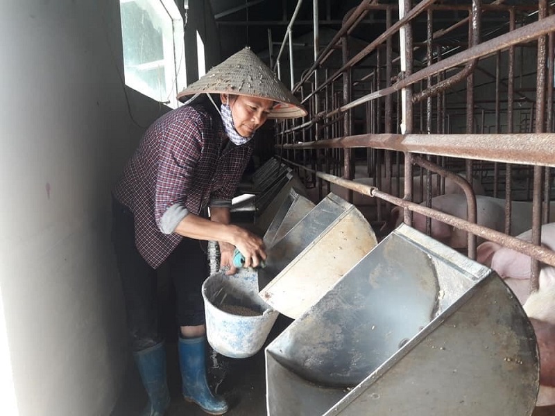 Giải pháp nào cho nguồn cung nguyên liệu thức ăn chăn nuôi tại Việt Nam? - Ảnh 2