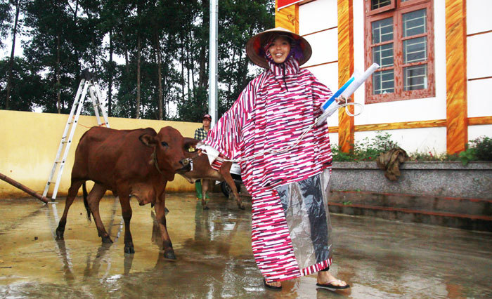Trao tặng 30 bò sinh sản cho các hộ nghèo huyện Ba Vì - Ảnh 1