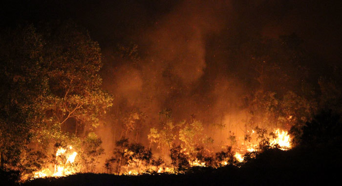 Tăng cường cán bộ kiểm lâm xuống các trọng điểm về cháy rừng - Ảnh 1