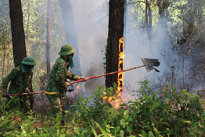 Thừa Thiên Huế: Liên tiếp xảy ra cháy lớn, thiêu rụi hàng trăm héc-ta rừng - Ảnh 1