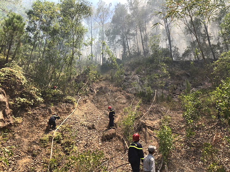 Thừa Thiên Huế: Liên tiếp xảy ra cháy lớn, thiêu rụi hàng trăm héc-ta rừng - Ảnh 2