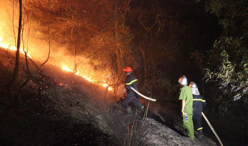Vụ cháy rừng ở Sóc Sơn: Thiệt hại khoảng 50ha - Ảnh 1