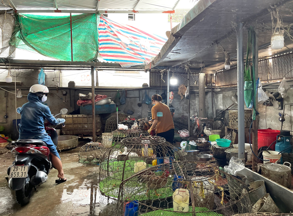 Hà Đông: Thực phẩm “cháy hàng” ở chợ dân sinh - Ảnh 5