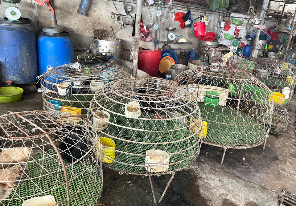 Hà Đông: Thực phẩm “cháy hàng” ở chợ dân sinh - Ảnh 6