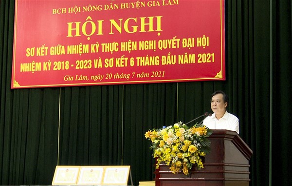 Huyện Gia Lâm có trên 28.000 hộ nông dân đạt danh hiệu sản xuất kinh doanh giỏi - Ảnh 1