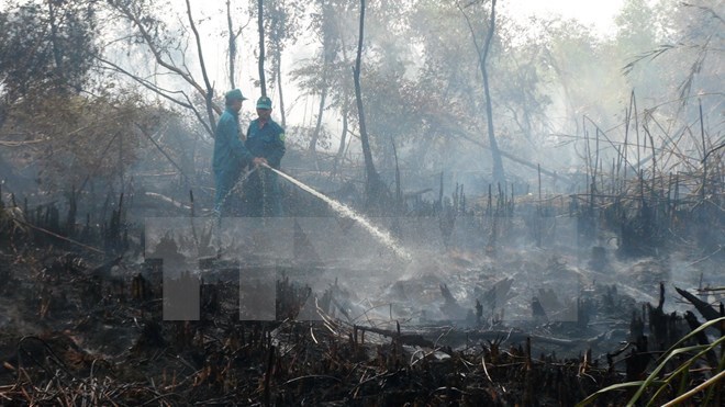 Thái Nguyên: Khoảng 13ha rừng thuộc Vườn Quốc gia Tam Đảo bị cháy - Ảnh 1