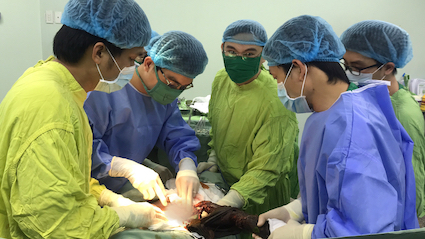 Phẫu thuật cấp cứu thành công cho bệnh nhân bị cọc dài gần 1m đâm xuyên hạ vị - Ảnh 1
