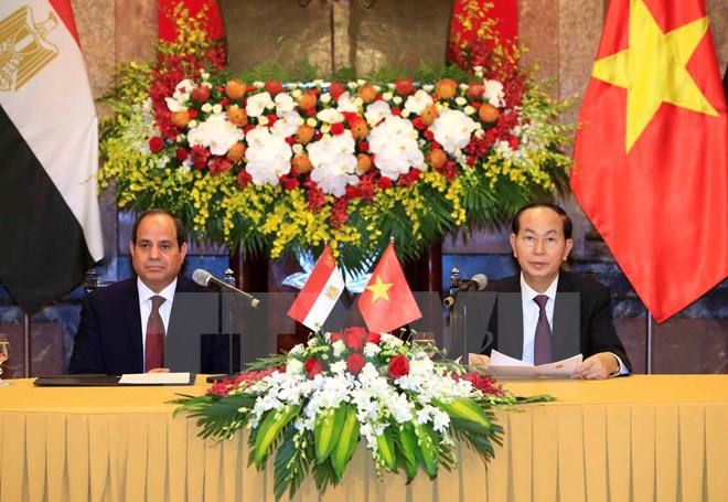 Chủ tịch nước Trần Đại Quang hội đàm với Tổng thống Ai Cập - Ảnh 1