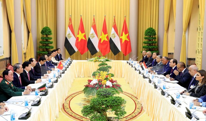 Chủ tịch nước Trần Đại Quang hội đàm với Tổng thống Ai Cập - Ảnh 2
