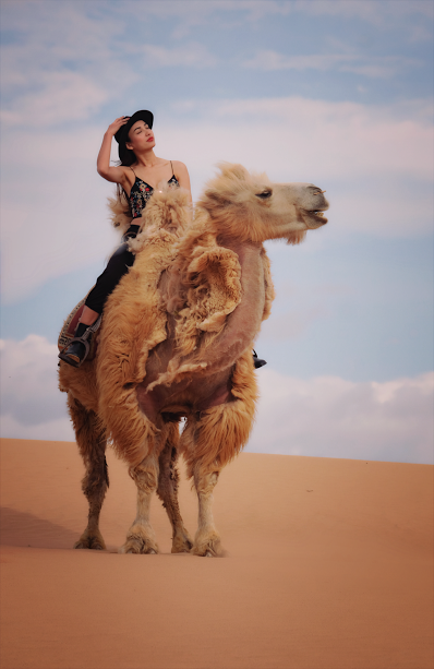 Hoa hậu Ngọc Diễm gợi cảm giữa sa mạc lớn nhất châu Á - Ảnh 6