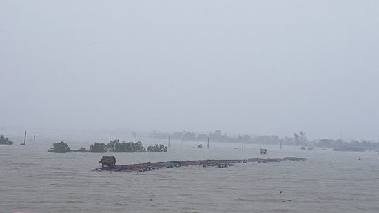 Toàn cảnh bão số 10 tàn phá miền Trung, Hà Tĩnh - Quảng Bình thiệt hại nặng nề - Ảnh 31