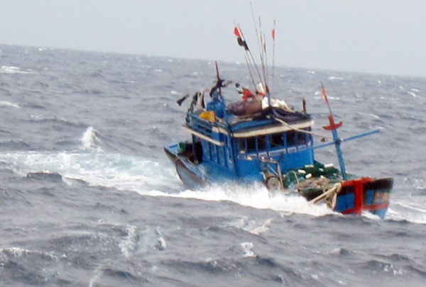 Đà Nẵng vẫn còn hơn 1.300 ngư dân chưa về tránh bão số 10 - Ảnh 1