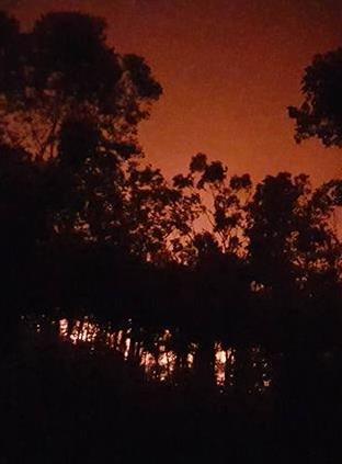 Nỗ lực khống chế đám cháy rừng ở Sóc Sơn - Ảnh 6