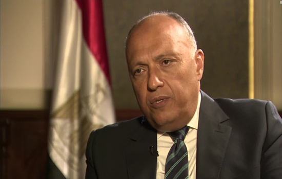 Ngoại trưởng Ai Cập: Qatar phải chấm dứt hỗ trợ các tổ chức khủng bố - Ảnh 1
