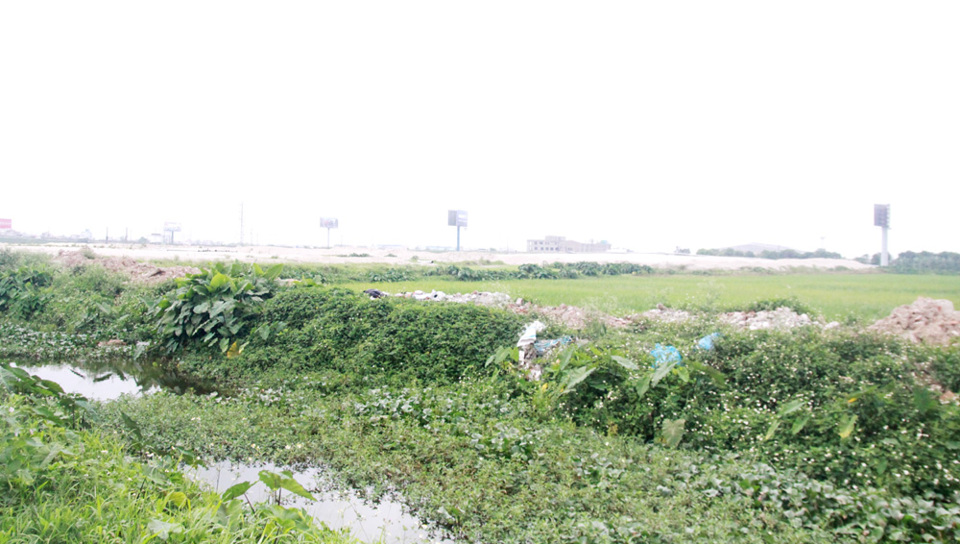 Dự án Điểm thông quan nội địa tại huyện Gia Lâm: Đất bỏ hoang, dân thiếu ruộng sản xuất - Ảnh 1
