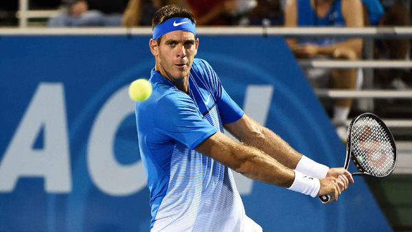 Del Potro bóp nát giấc mơ về trận bán kết "trong mơ" giữa Federer và Nadal - Ảnh 1