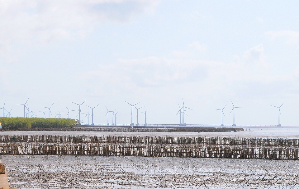 Hậu Giang sắp có dự án điện gió hơn 3.200 tỷ đồng - Ảnh 1