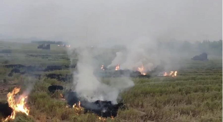 Hà Nội: Kiểm tra đột xuất tình trạng đốt rơm rạ tại các huyện ngoại thành - Ảnh 2