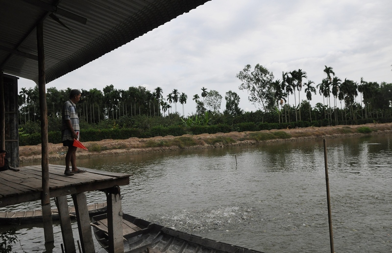 Nông sản Đồng bằng sông Cửu Long gặp khó khăn trong khâu tiêu thụ - Ảnh 1