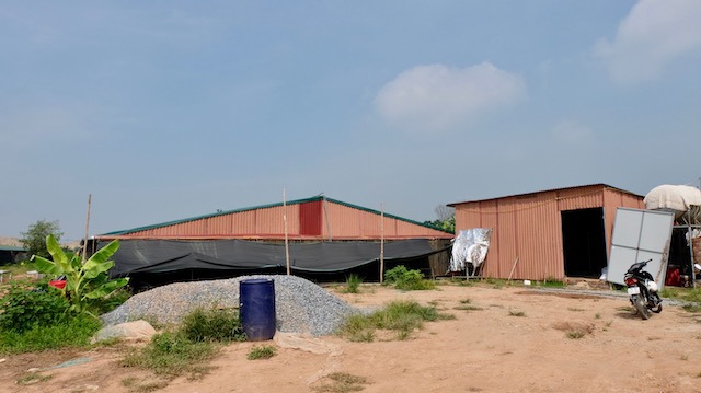 Huyện Mê Linh: Tự ý xây trại nuôi gà gần 1.800m2 ven bãi sông Hồng, chính quyền địa phương nói gì? - Ảnh 1