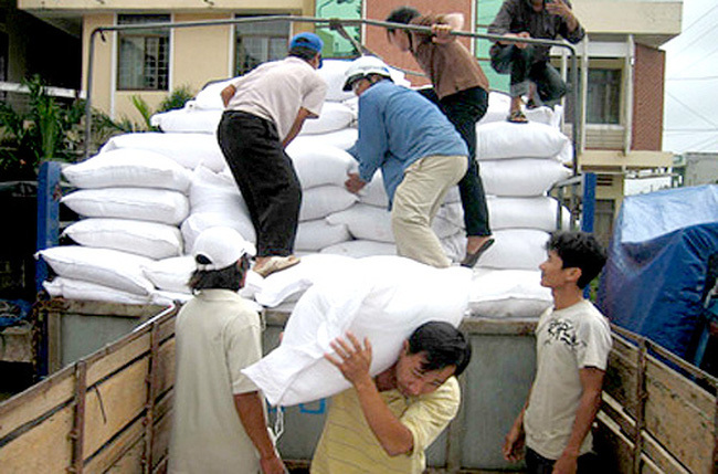 Chính phủ hỗ trợ cho người dân bị thiệt hại do bão số 10 - Ảnh 1