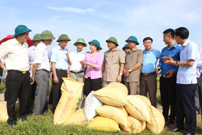 Huyện Chương Mỹ phấn đấu có thêm 3 xã đạt chuẩn nông thôn mới - Ảnh 1