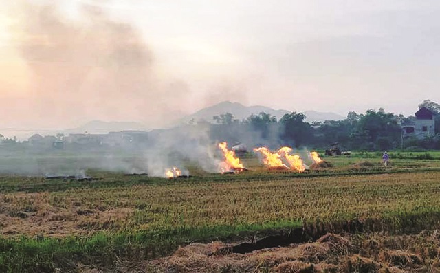 Huyện Sóc Sơn: Nhức nhối vì nạn đốt rơm rạ sau thu hoạch - Ảnh 1