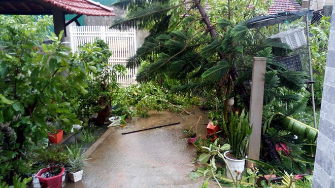 Toàn cảnh bão số 10 tàn phá miền Trung, Hà Tĩnh - Quảng Bình thiệt hại nặng nề - Ảnh 16