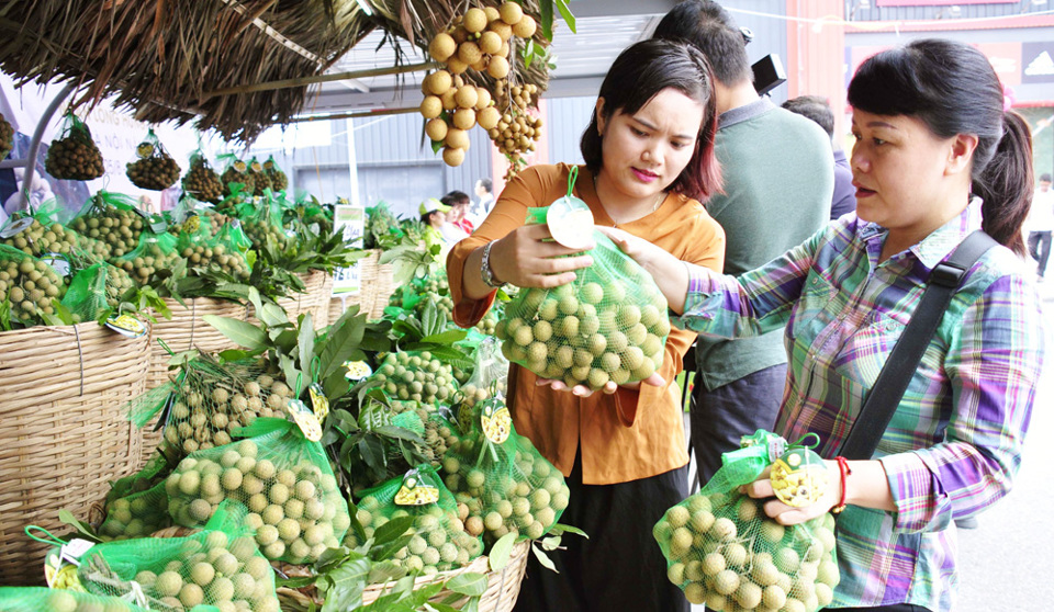 Kết nối giao thương giữa Hà Nội và các tỉnh: Cơ hội chia đều cho cả hai - Ảnh 1