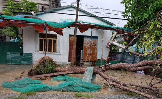 Toàn cảnh bão số 10 tàn phá miền Trung, Hà Tĩnh - Quảng Bình thiệt hại nặng nề - Ảnh 38
