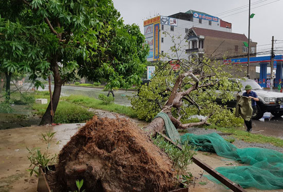 Toàn cảnh bão số 10 tàn phá miền Trung, Hà Tĩnh - Quảng Bình thiệt hại nặng nề - Ảnh 35